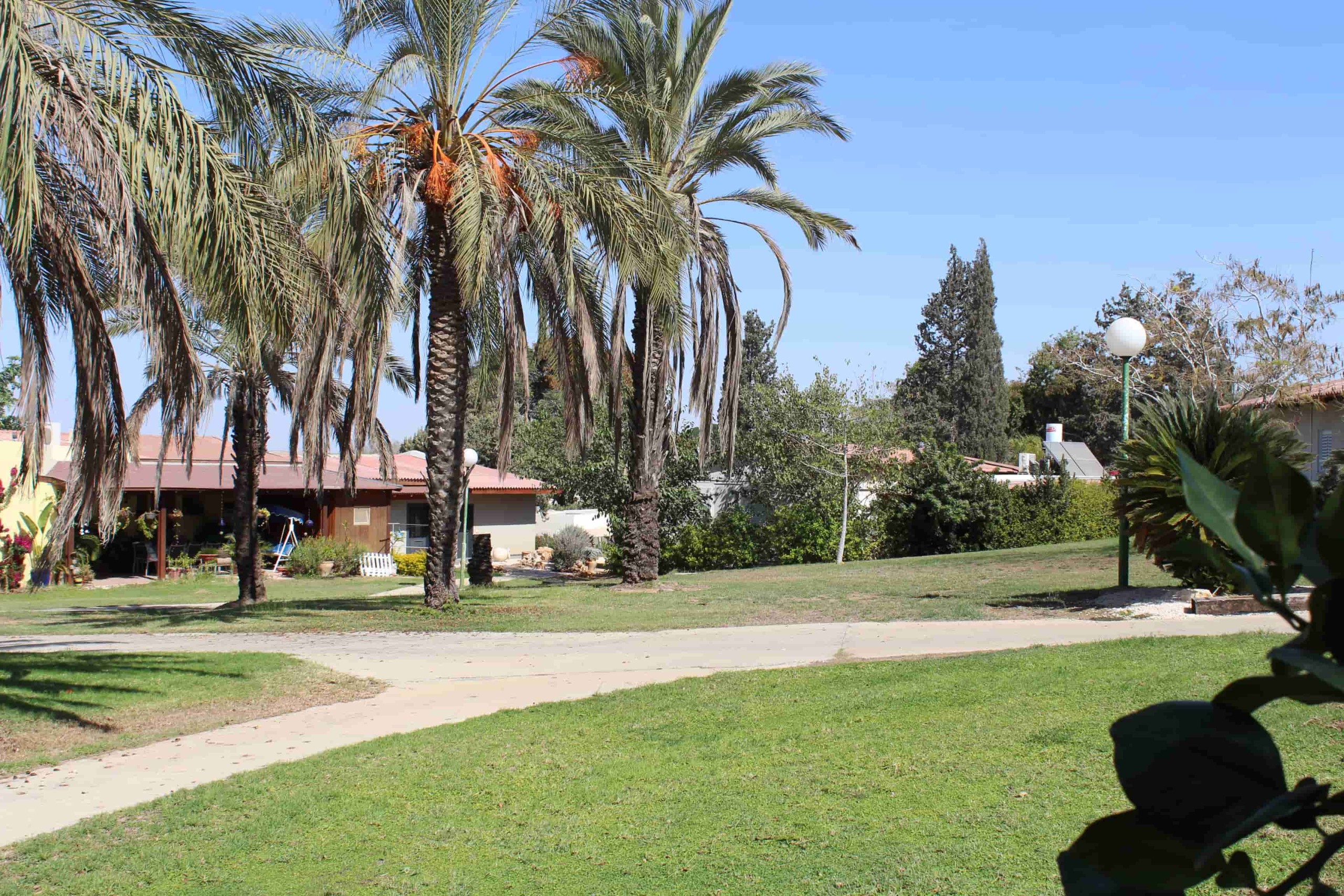 « Je suis né dans le kibboutz de Kfar Aza. »