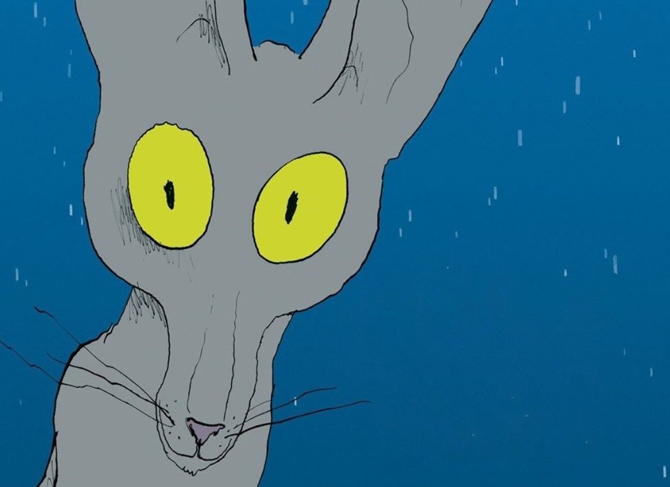 L’Algérie, chat parle : Et si le chat du rabbin était ashkénaze ?