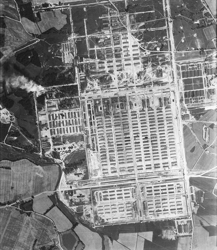 Auschwitz : Histoire, mémoire, commémoration